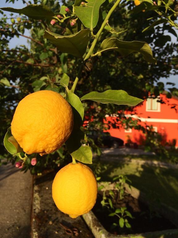 Agriturismo Ca' La Pergola ルガニャーノ エクステリア 写真
