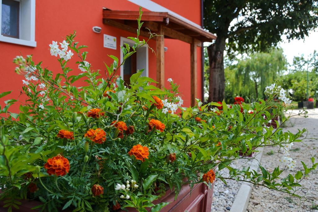 Agriturismo Ca' La Pergola ルガニャーノ エクステリア 写真