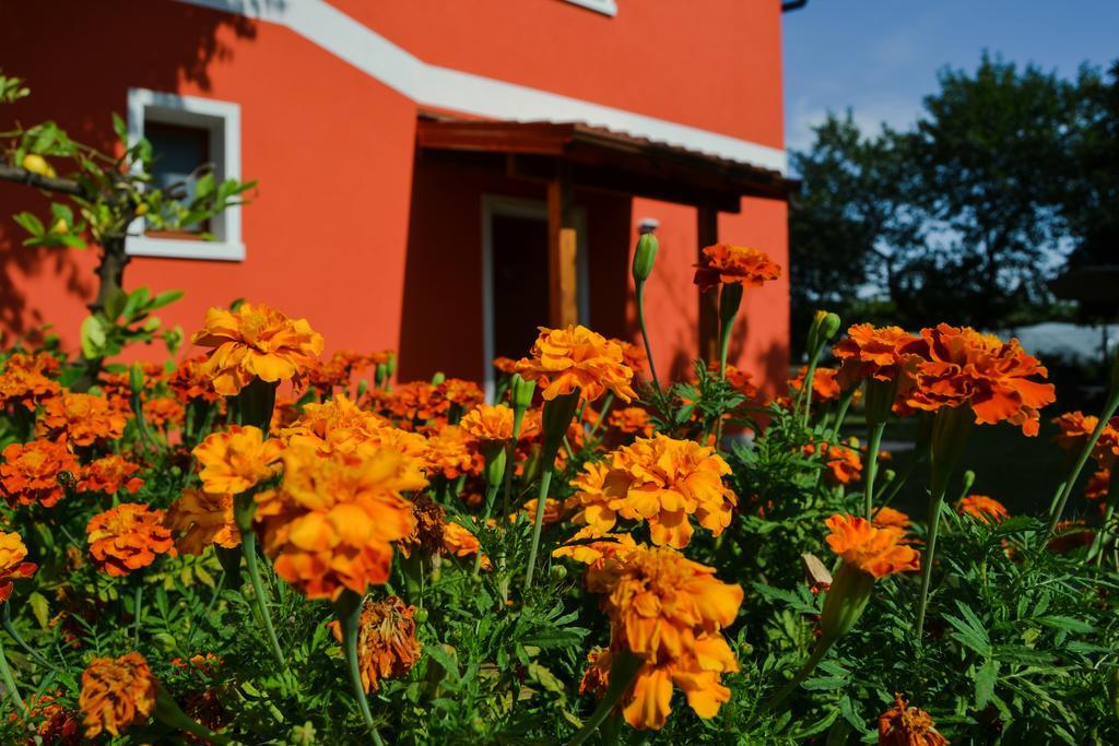 Agriturismo Ca' La Pergola ルガニャーノ エクステリア 写真