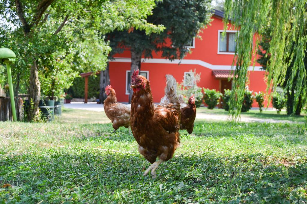 Agriturismo Ca' La Pergola ルガニャーノ エクステリア 写真