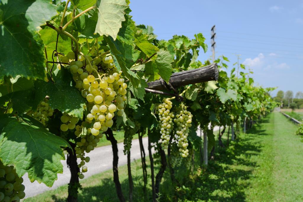 Agriturismo Ca' La Pergola ルガニャーノ エクステリア 写真